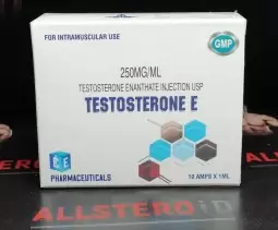 ICE TESTOSTERONE E 250mg/ml - ЦЕНА ЗА 1 АМПУЛУ